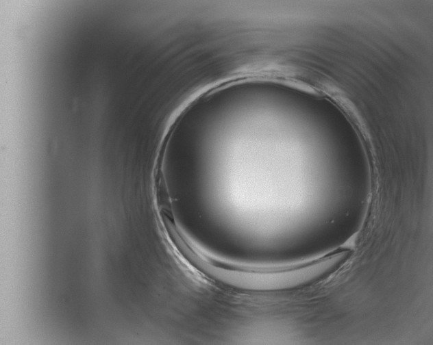 X0000072941344200607282153