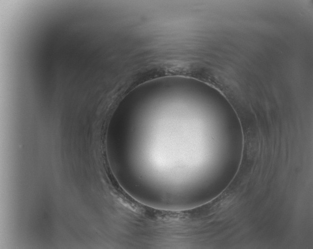 X0000072941345200607282153