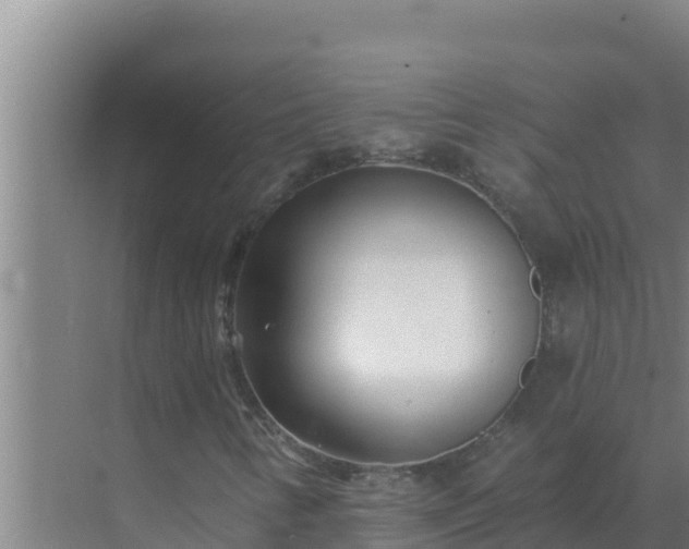 X0000072941346200607282153