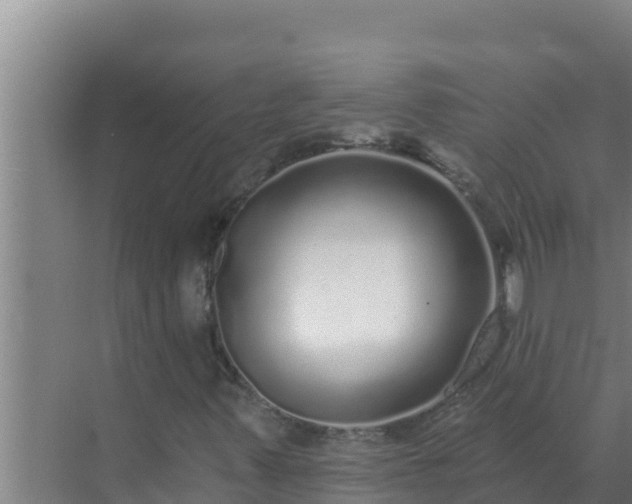 X0000072941347200607282153