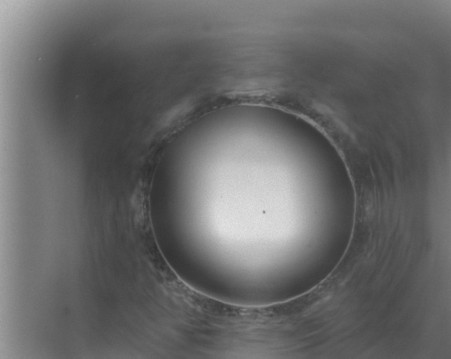 X0000072941350200607282152