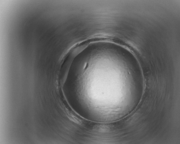 X0000072941355200607282152