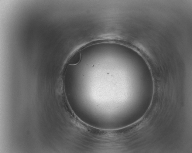 X0000072941358200607282152