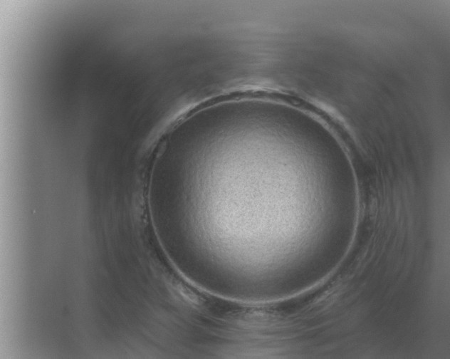 X0000072941359200607282152