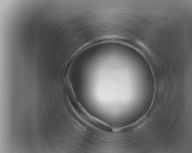 X0000072941361200607282152