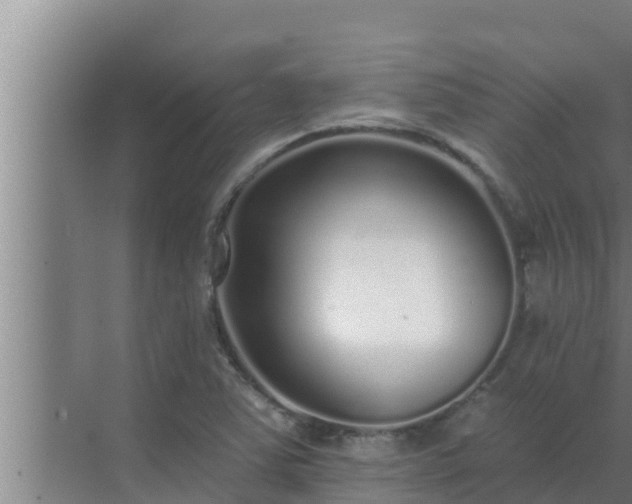 X0000072941363200607282152