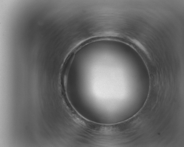 X0000072941364200607282152