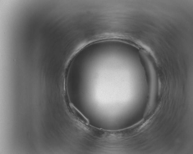 X0000072941365200607282152