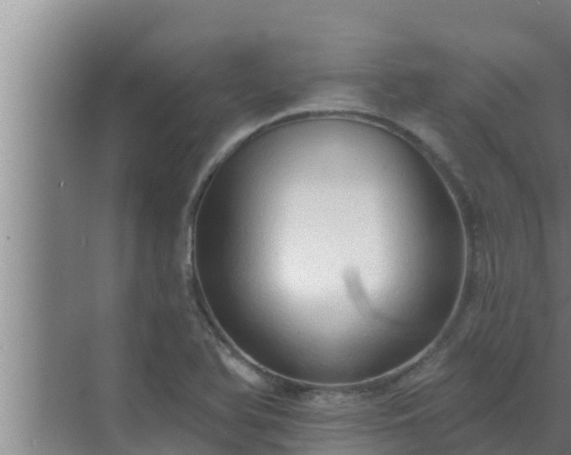 X0000072941366200607282152