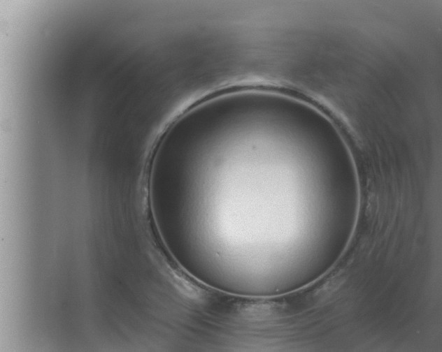 X0000072941367200607282152