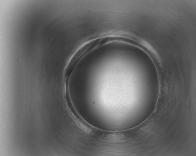 X0000072941368200607282152