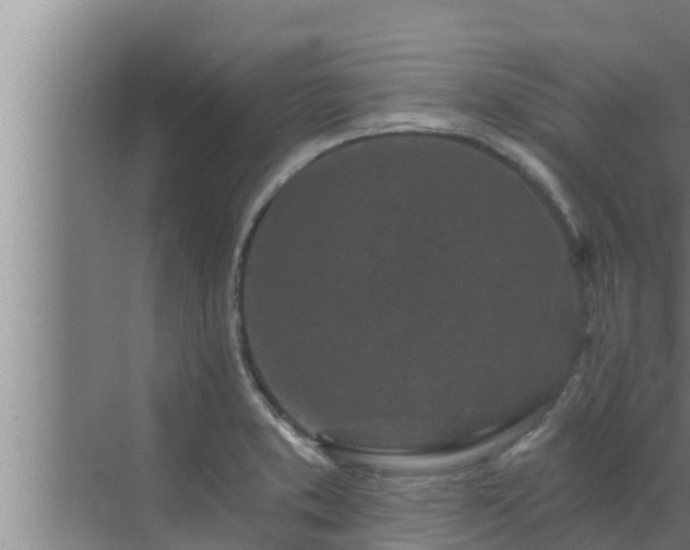 X0000072941373200607282152