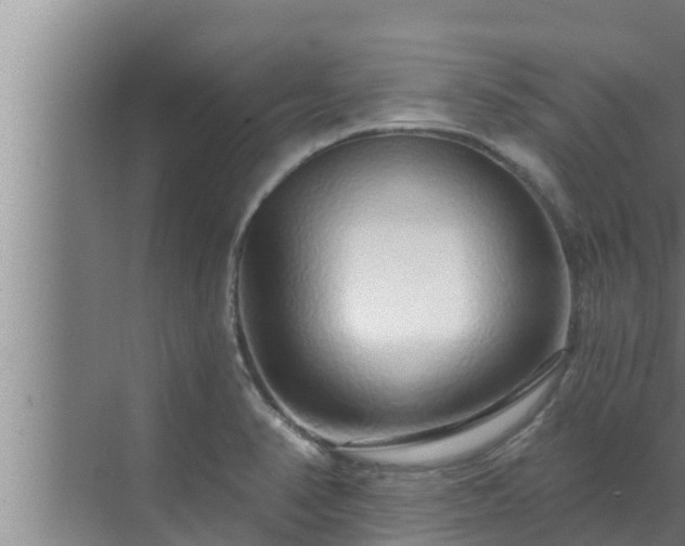 X0000072941374200607282152