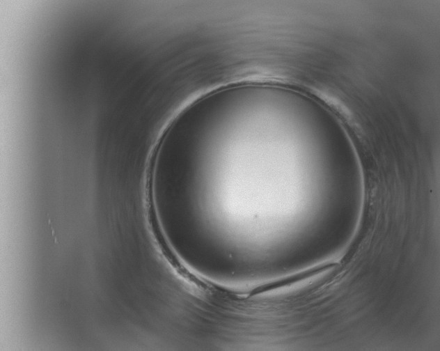 X0000072941375200607282152