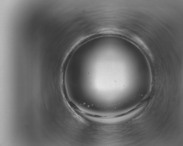 X0000072941376200607282152