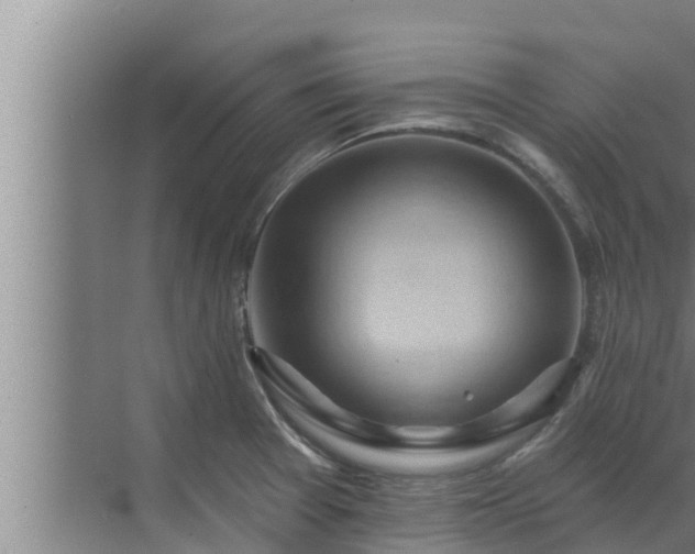 X0000072941377200607282152