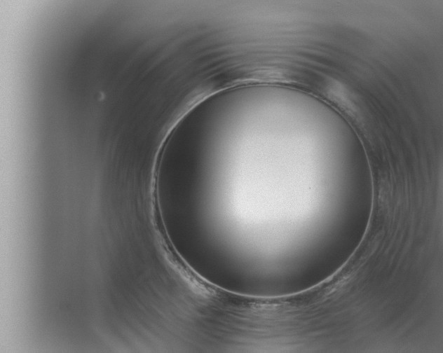 X0000072941378200607282152