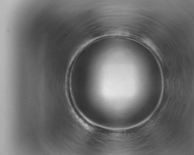 X0000072941379200607282152