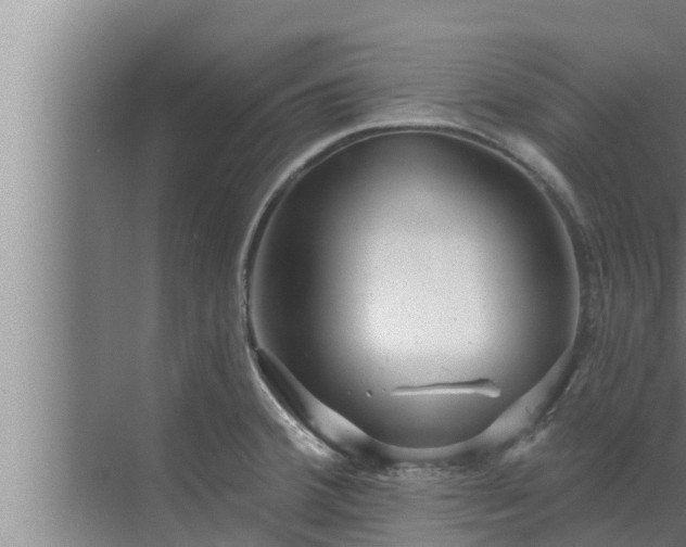 X0000072941380200607282152