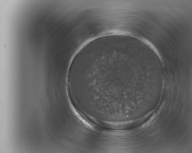 X0000072941381200607282152