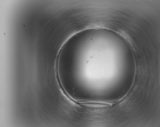 X0000072941382200607282152