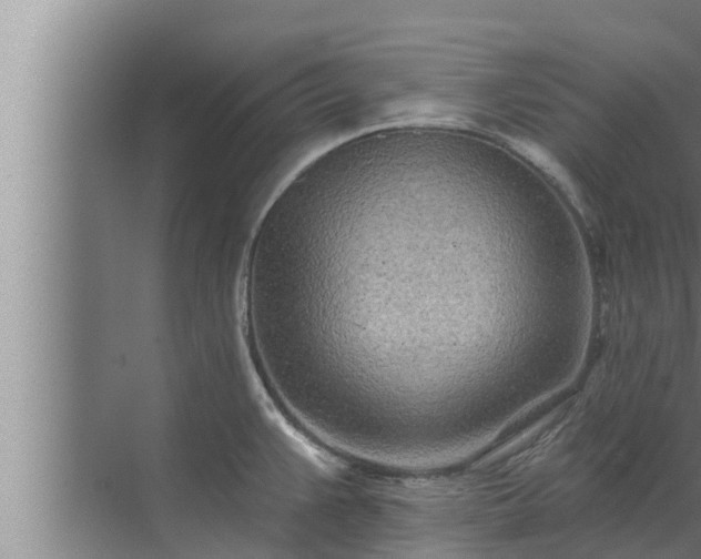 X0000072941383200607282152