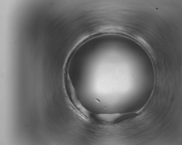 X0000072941384200607282152