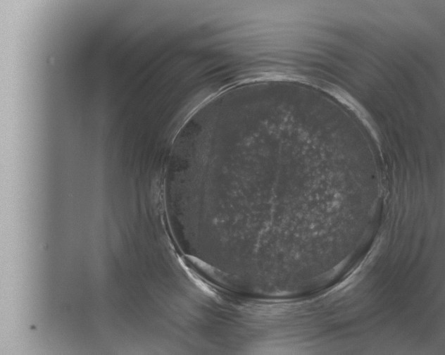 X0000072941385200607282152