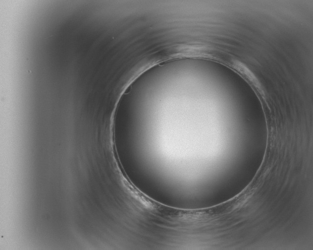 X0000072941386200607282152