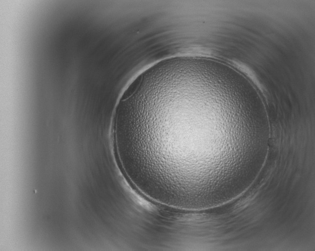 X0000072941387200607282152