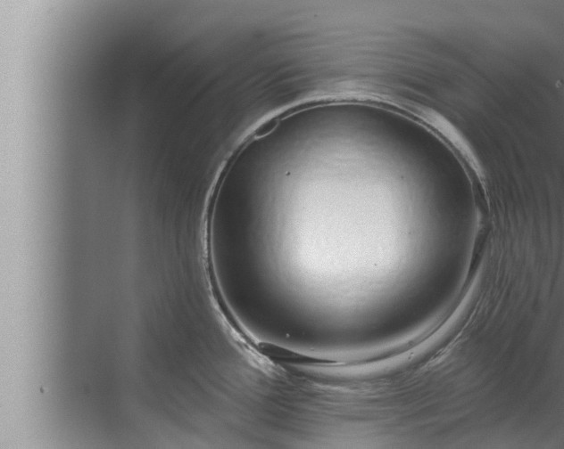 X0000072941388200607282152