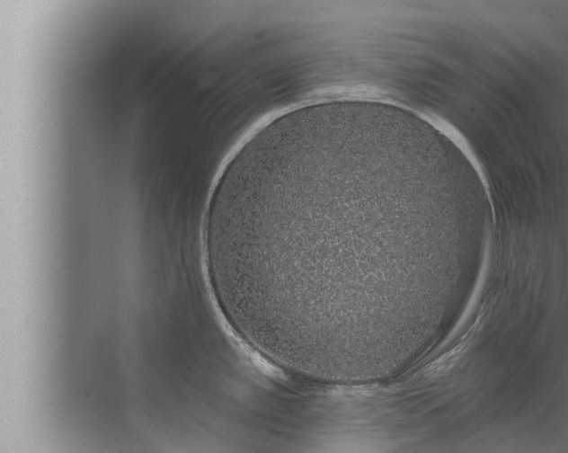 X0000072941389200607282152