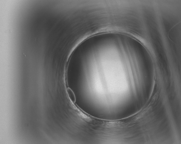 X0000072941390200607282152