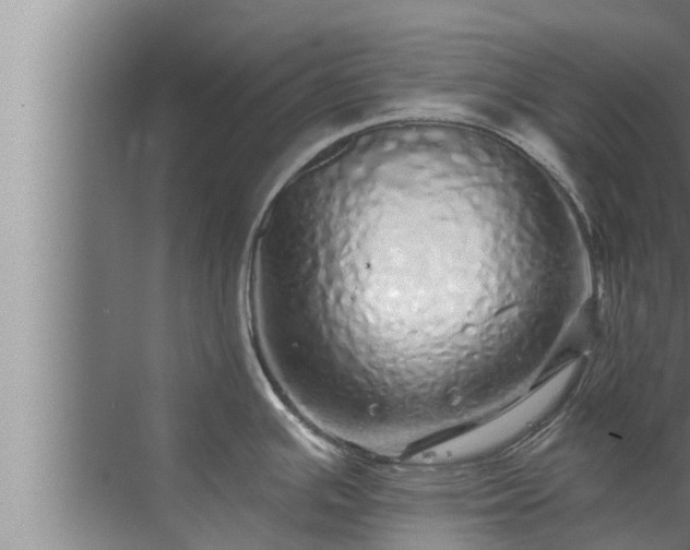 X0000072941391200607282152