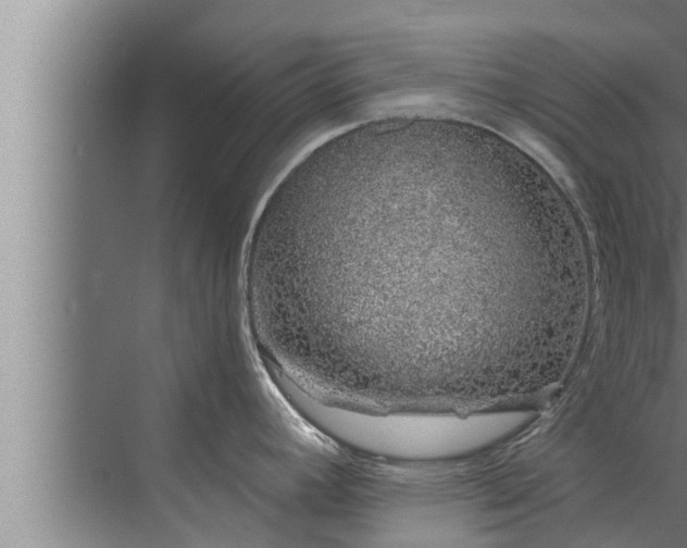 X0000072941392200607282152