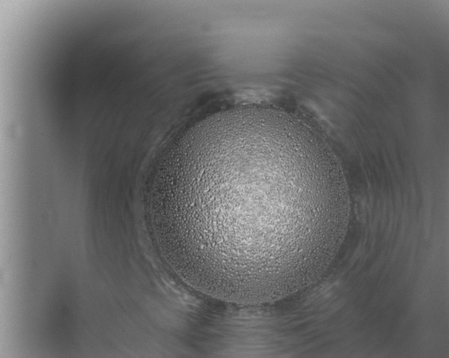 X0000072941393200607282151