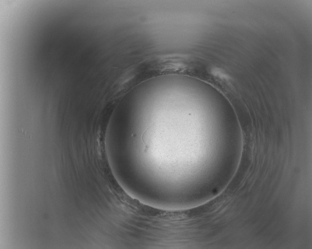 X0000072941394200607282151