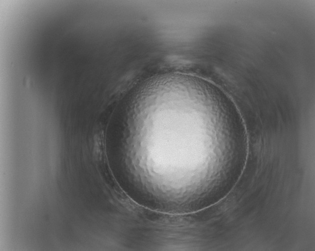 X0000072941397200607282151