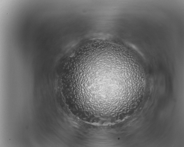 X0000072941399200607282151