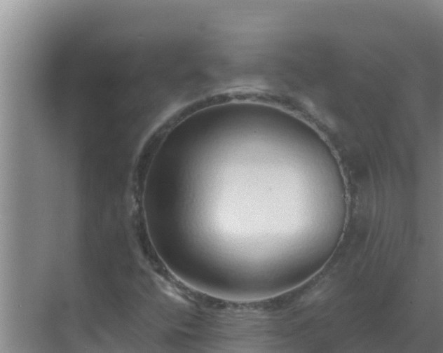 X0000072941400200607282151