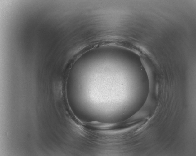 X0000072941402200607282151