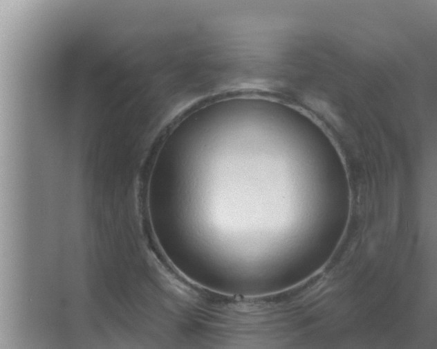 X0000072941404200607282151