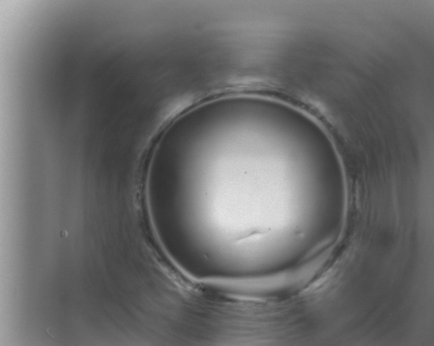 X0000072941405200607282151