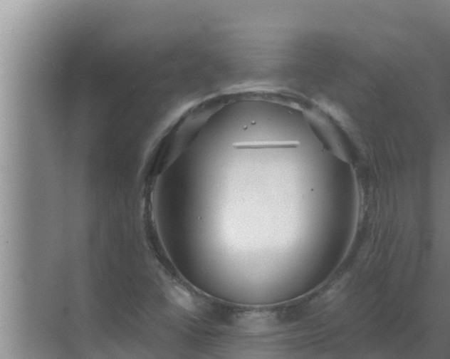 X0000072941406200607282151