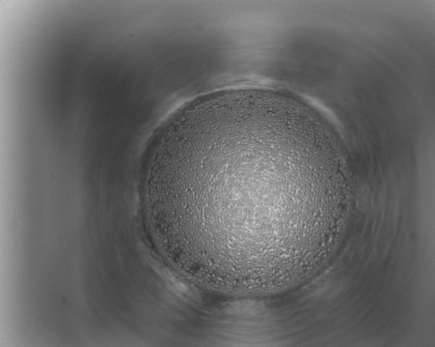 X0000072941407200607282151