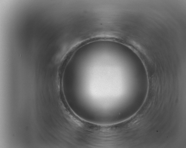 X0000072941408200607282151