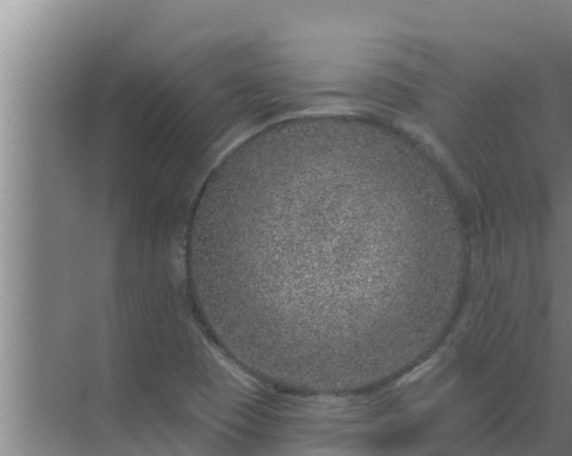 X0000072941409200607282151