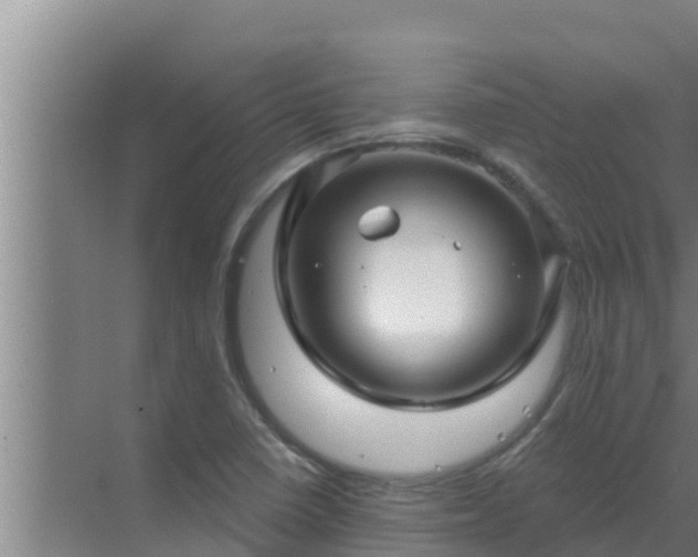 X0000072941410200607282151