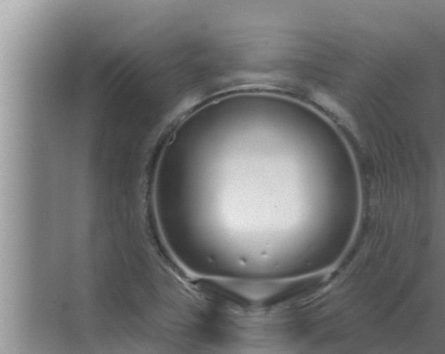 X0000072941411200607282151