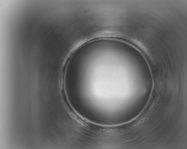 X0000072941413200607282151